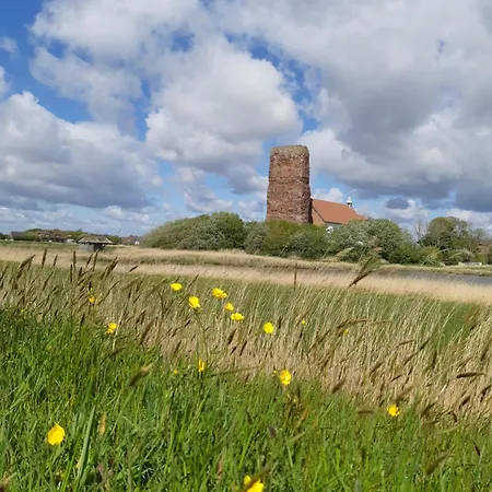 Tammwarftshof